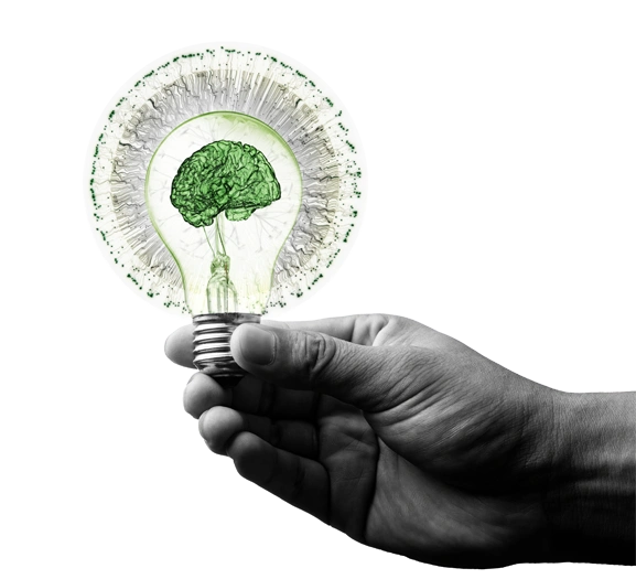 slajder - opinia o innowacyjności